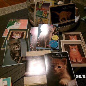 NEW Vintage 1980s  1990'S HALLMARK BIRTHDAY CARDS CATS THEME FUN ITEMS LOT OF 11
